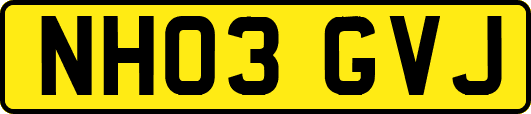 NH03GVJ