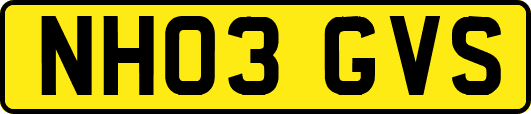 NH03GVS