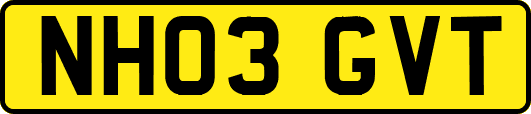 NH03GVT