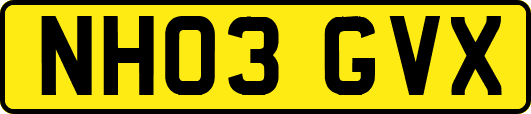 NH03GVX