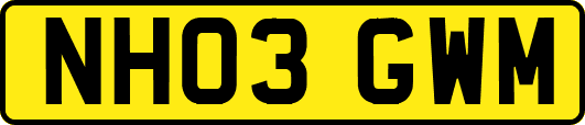 NH03GWM
