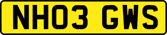 NH03GWS
