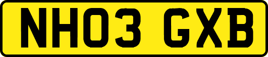 NH03GXB