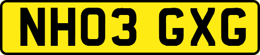 NH03GXG