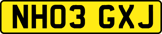 NH03GXJ