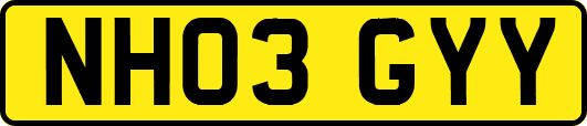 NH03GYY