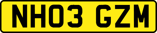 NH03GZM