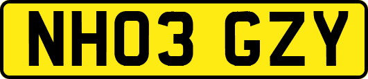 NH03GZY