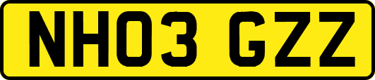 NH03GZZ