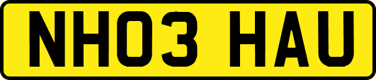 NH03HAU