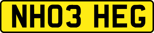 NH03HEG