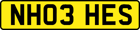 NH03HES