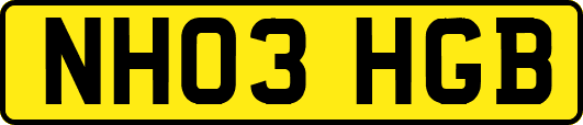 NH03HGB