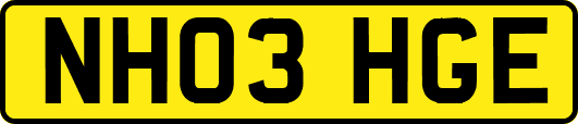 NH03HGE