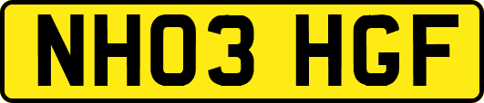 NH03HGF
