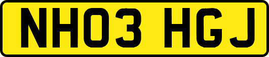 NH03HGJ
