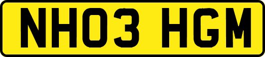 NH03HGM