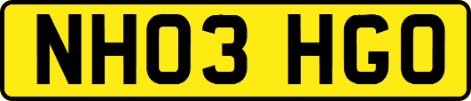 NH03HGO