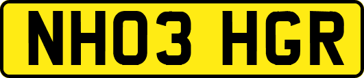 NH03HGR