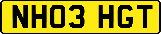 NH03HGT