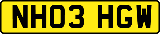 NH03HGW