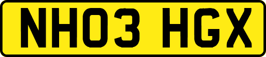 NH03HGX