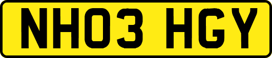 NH03HGY