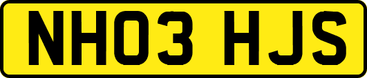 NH03HJS