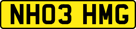 NH03HMG