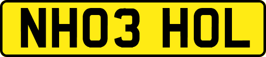 NH03HOL