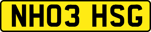 NH03HSG
