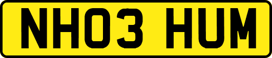 NH03HUM