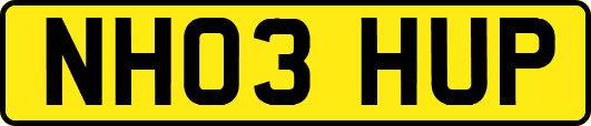 NH03HUP