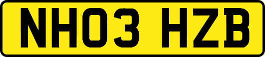 NH03HZB