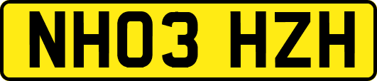 NH03HZH