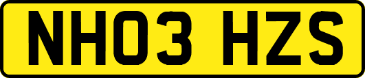 NH03HZS