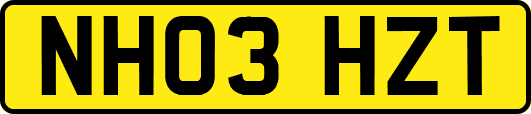 NH03HZT