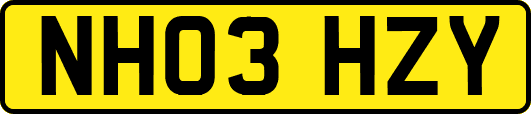 NH03HZY