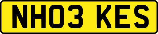 NH03KES