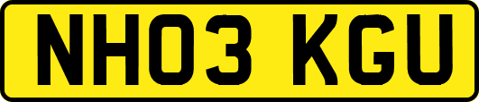 NH03KGU