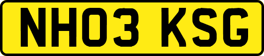 NH03KSG