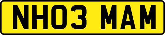 NH03MAM