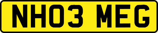NH03MEG