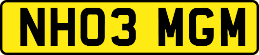 NH03MGM