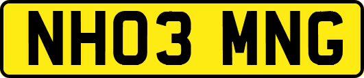NH03MNG