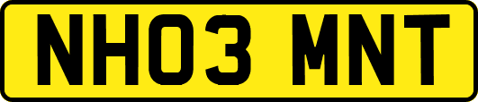 NH03MNT