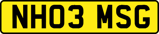 NH03MSG