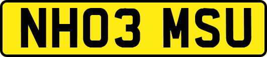 NH03MSU