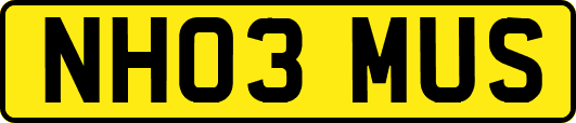 NH03MUS