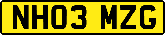 NH03MZG
